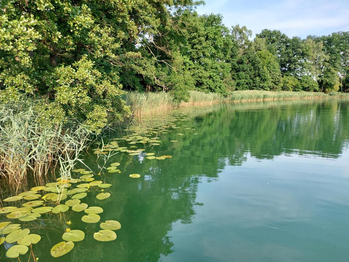 Jw Mazury Domy Wakacyjne Nad Jeziorem-Dom Czapla Waplewo  Eksteriør bilde