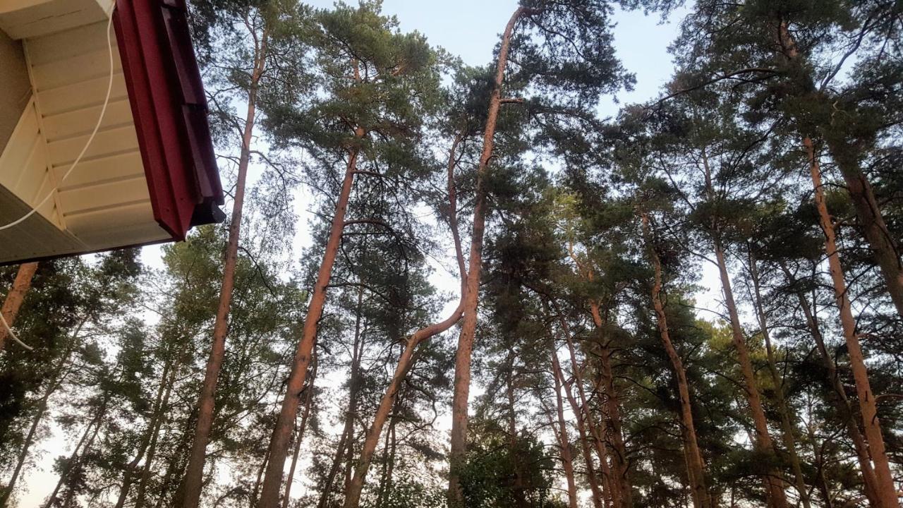 Jw Mazury Domy Wakacyjne Nad Jeziorem-Dom Czapla Waplewo  Eksteriør bilde